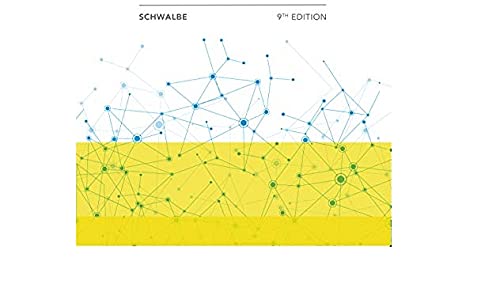 Information Technology Project Management